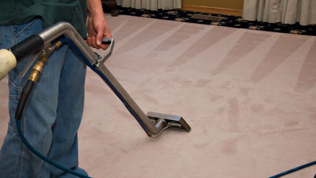 Area Rug Cleaning Services, Area Rug Cleaning Services London & Area Rug Cleaning London: Complete Guide to Professional Rug Care